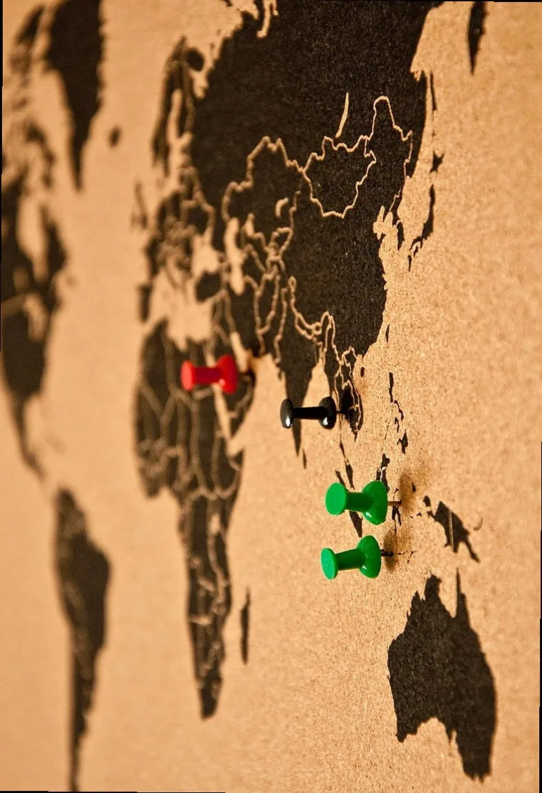 pin board, bulletin board, map of the world, wall panel, pins, cork wall, pin, world travel, asia